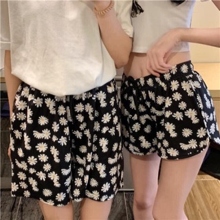 Bộ hoa cúc
