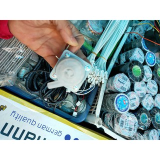 Mô tơ phích nước 12v