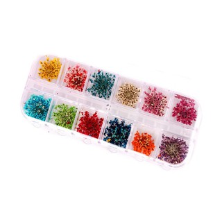 Hoa Khô Trang Trí Móng - Phụ Kiện Nail