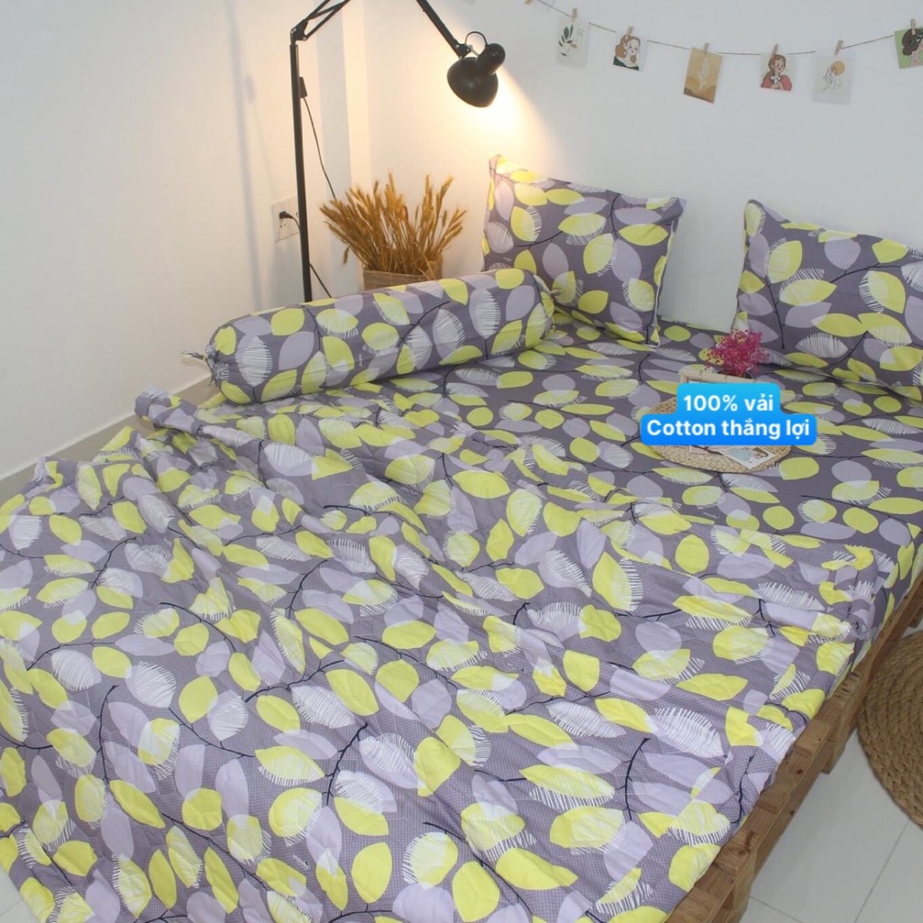 Bộ Drap Cotton Thắng Lợi Kèm Mền Chần Gòn -5 món {chuẩn logo CTY}