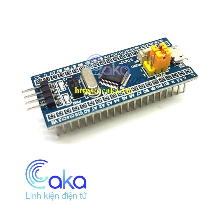 Kit Phát Triển STM32F103C8T6 Blue Pill ARM Cortex-M3