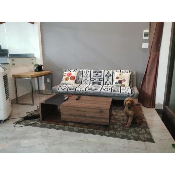 [FREE SHIP] Thảm phủ ghế sofa nhập khẩu TD130 trang trí phòng khách