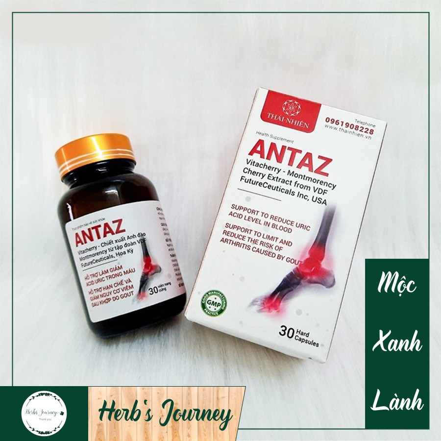 ANTAZ - Hỗ trợ người bị GOUT giảm acid uric từ thảo mộc - Thực phẩm bảo vệ sức khỏe từ thảo dược tự nhiên cho người gút