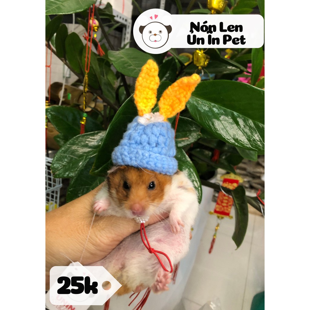 Nón len TAI THỎ NƠ cho hamster, sóc, bọ, thú nhỏ