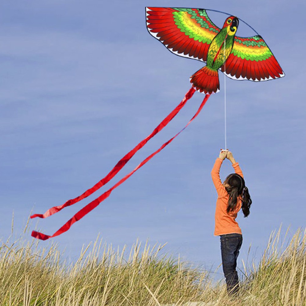 Diều Hình Chim Vẹt 3D Độc Đáo Cho Bé