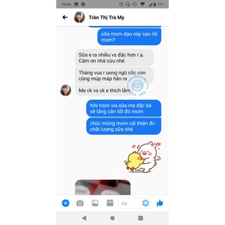 Cao chè vằng sẻ Quảng Trị Nhà Cừu
