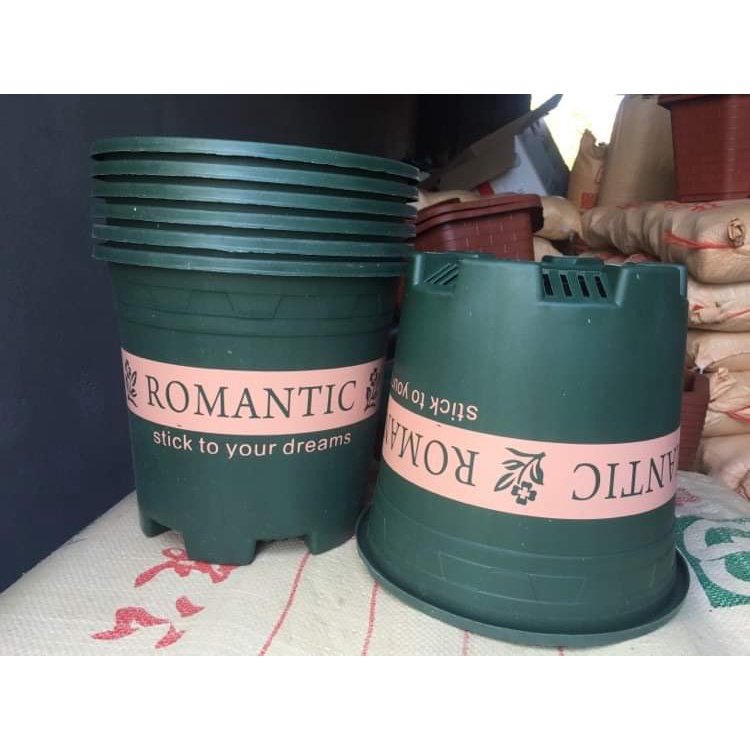 5 CHẬU NHỰA ROMANTIC #3
