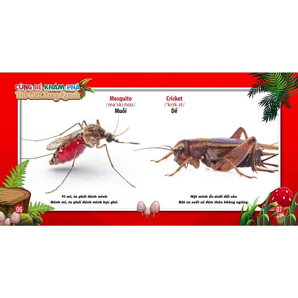 Sách - Cùng Bé Khám Phá Thế Giới Xung Quanh - Côn Trùng - Sách Song Ngữ