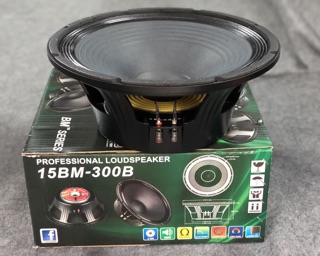 Loa bass Paudio 15BM-300B
