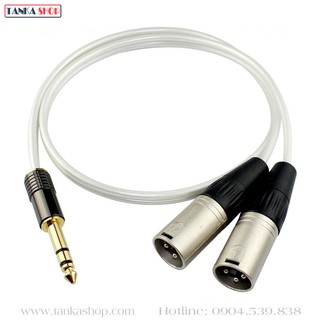 Cáp chuyển đổi 6.35 sang 2 XLR JSJ B-205