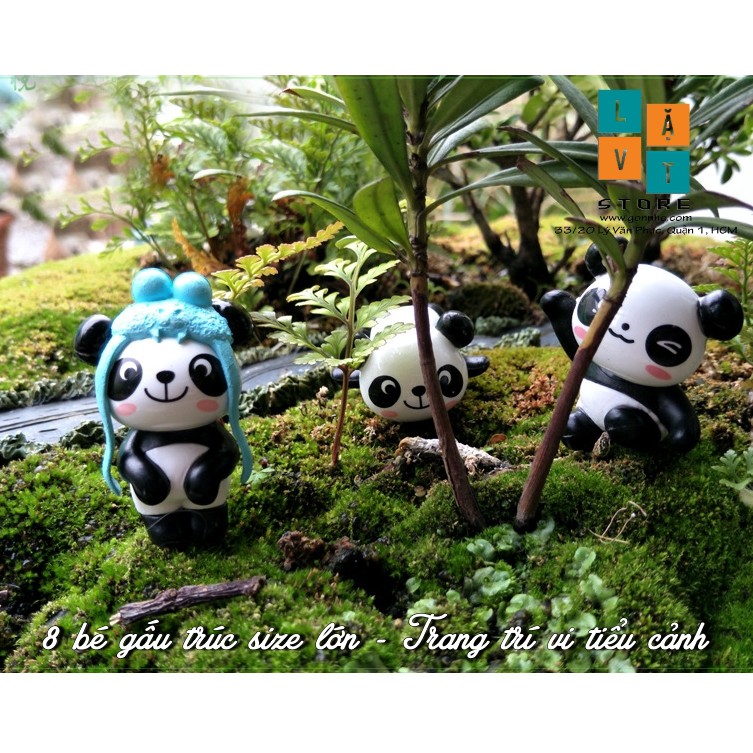 Mô Hình Panda Gấu Trúc Micro Dễ Thương, Cute, Dùng Để Trang Trí Vi Tiểu Cảnh - Đơn Giản Chân Thật Giá Rẻ Bất Ngờ