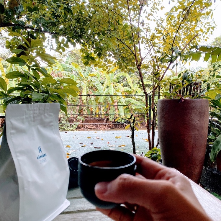 100% Robusta - Đắng thanh, ngọt hậu - Cà Phê Ri | BigBuy360 - bigbuy360.vn