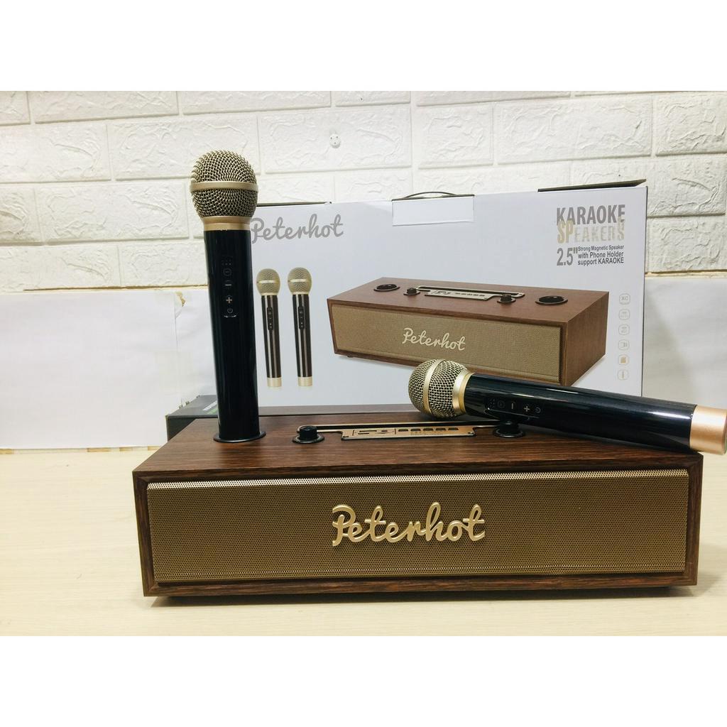 Loa Bluetooth karaoke PETERHOT Model A100, Kèm 2 Mic Hát SIÊU HAY-, Vỏ Gỗ Cao cấp,Thiết kế độc đáo sang trọng