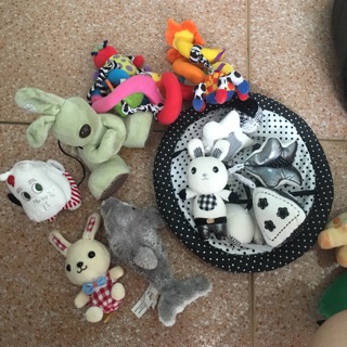 Gấu của hoa anh tuc