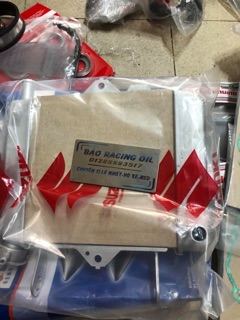 Két Nước Raider - satria