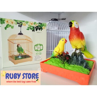 FREESHIP 99K TOÀN QUỐC_LỒNG LỚN 2 CHIM MAY MẮN, BIẾT HÓT, NÓI CHUYỆN NGẮN, CÓ ĐÈN LED NHẤP NHÁY (DÙNG PIN)