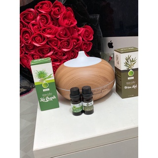 Máy khuếch tán tinh dầu phun sương aroma diffuser cao cấp