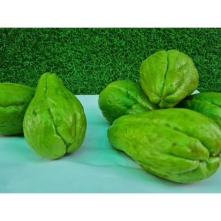 Quả SU SU -1kg ( 3 trái)
