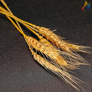 Bar Legend Original Wheat Ears Trang trí cocktail sáng tạo Tai lúa mì và hoa khô rơm Rơm lúa mì rơm