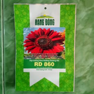 Hạt giống hướng dương đỏ 10 hạt