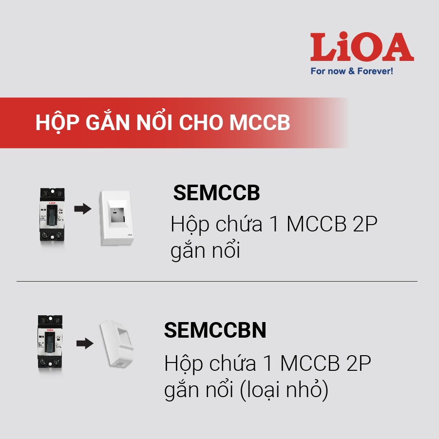 Aptomat Tự Động LiOA 2P - Cầu Dao At Khối Lắp Nổi - Attomat Cóc