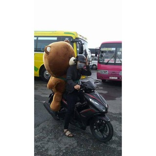 Gấu bông Brown 1M4