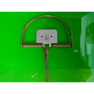 Combo 5 Bẫy Chuột Bán Nguyệt có đế gắn mồi