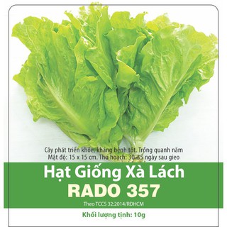 [Rạng Đông] Hạt Giống Xà Lách Rado 357 Vàng Cao Sản 10gr