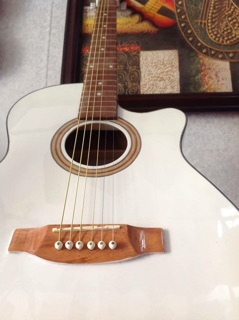 Đàn guitar Acoutic MT750