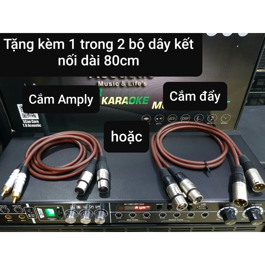 Vang cơ TD Acoustic E300: Vang có REVERB, Chống hú. Điều khiển, Chức năng Bluetooth,USB.. Tặng kèm bộ dây kết nối canon