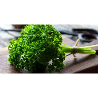 Gói 1GR hạt giống Ngò Tây (Rau mùi xoăn)