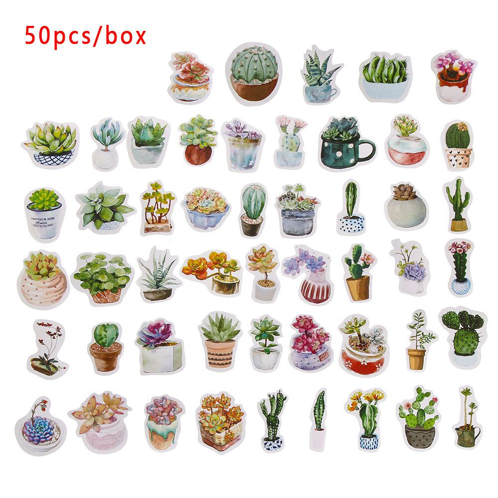 Hộp 50 miếng dán trang trí hình cây mọng nước hoạt hình đáng yêu