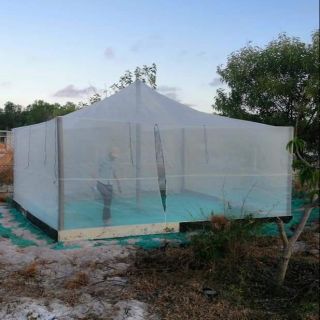 Mùng nuôi ruồi lính đen 5x4x2