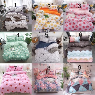 Chăn ga cotton polly set 4 món hàng nhập