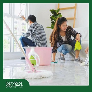 NƯỚC LAU SÀN Cỏ Cây Hoa Lá( xua đuổi côn trùng)