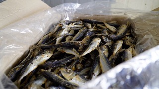 Combo 2 kg cá nục khô cửa lò