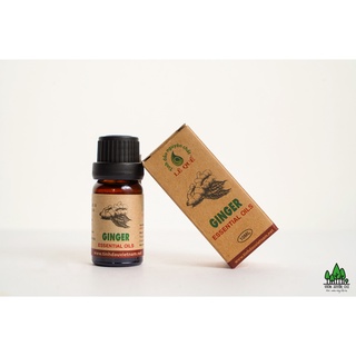 TINH DẦU CỦ GỪNG 10ML