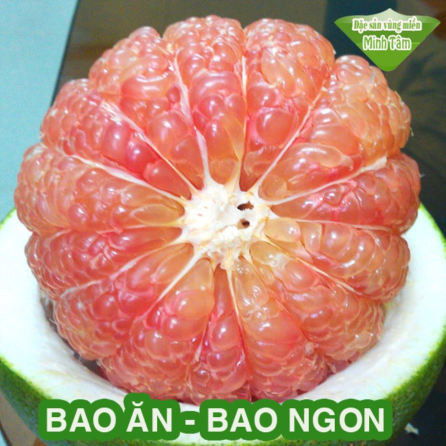 Bưởi da xanh size VIP bao ăn bao ngon