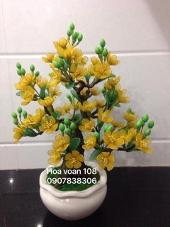 Gốc cây hoa mai hoa đào