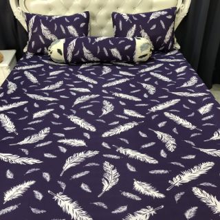 Bộ drap thun thái lan phối màu ( 7 màu)