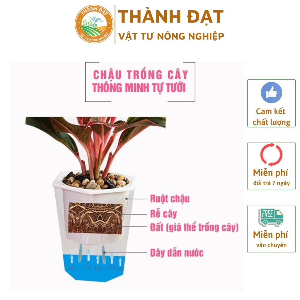 Chậu trồng cây thông minh tự tưới nước, Chậu cây nhựa tự tưới nước cho cây cảnh nội thất, cây hoa cảnh, cây văn phòng