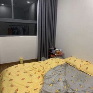 Bộ poly nhập khâu_cà rốt( có thể làm.phao)