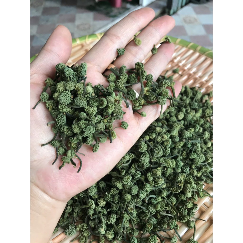 Nụ tam thất BAO TỬ khô 500g