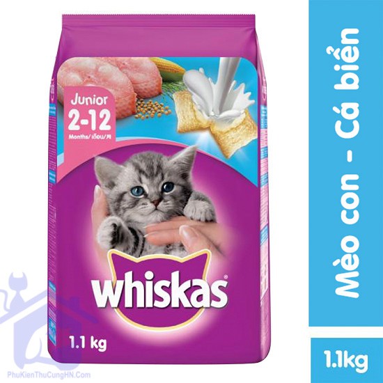 Thức ăn cho mèo con whiskas junior - 1.1Kg - Phụ kiện thú cưng Hà Nội