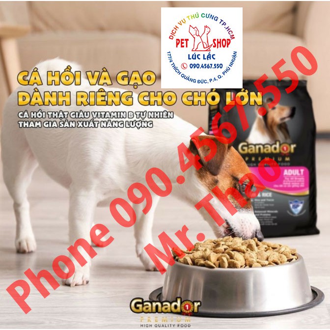 🅲🅾🅼🅱🅾 05 🅶Ó🅸 x400 Gram Thức ăn cho chó Ganador - FIB's - adult - puppy - Cừu - Trứng Sữa - Cá Hồi - Sữa DHA Đủ Loại