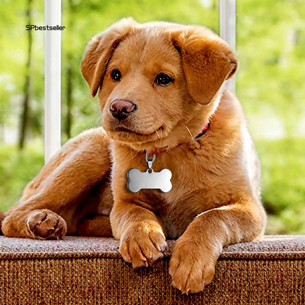 Mặt dây chuyền bằng thép không gỉ hình khúc xương đáng yêu cho thú cưng