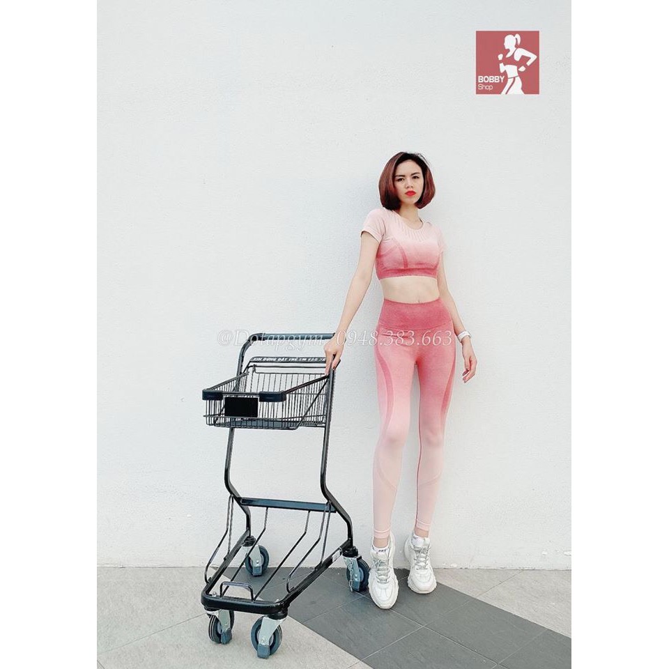 Đồ tập gym nữ, set bộ dệt kim ombre áo crop kèm mút quần dài cao cấp Bin Sports BD049