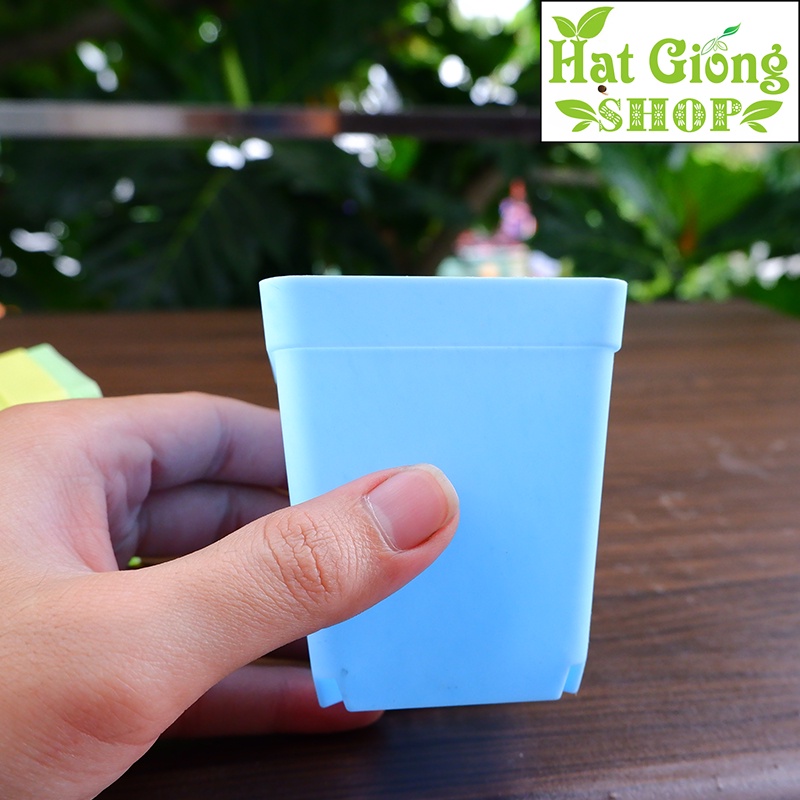 Chậu nhựa mini vuông