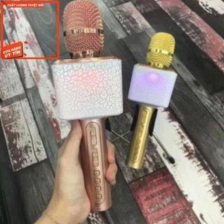 Micro karaoke bluetooth SDRD SD-12L chính hãng có led