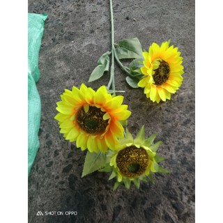 cành hoa hướng dương